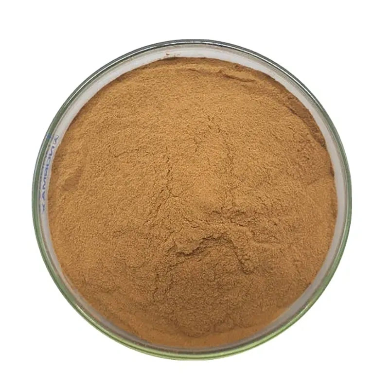 100% Pure Natural Boletus Edulis Extract 10: 1 Porcini Mushroom Extract Powder