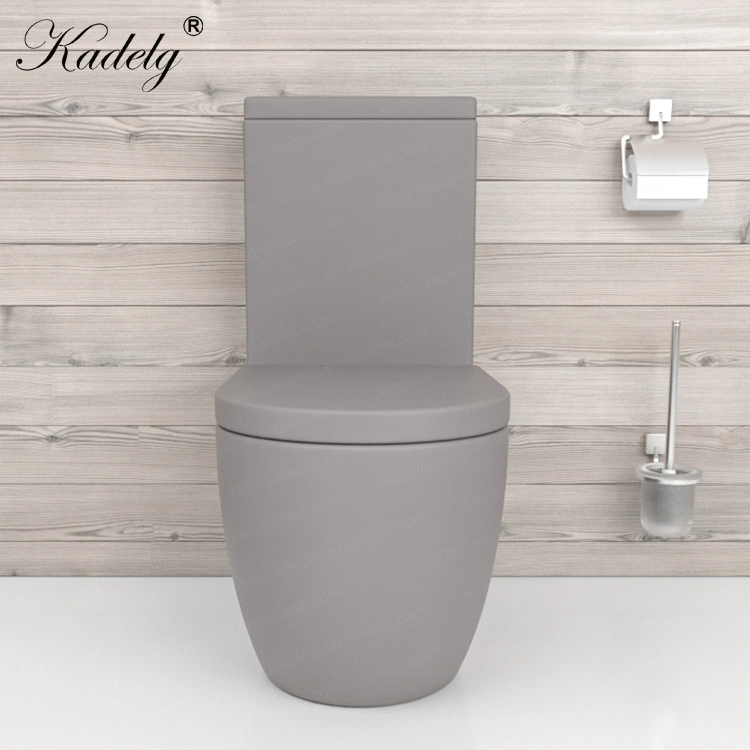 Watermark Toilet Porcelain Bathroom Toilet Matte Black Two Piece Toilet