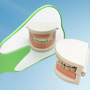 Handheld Mirror Molar Tooth Shape Mirror for Clinic Dentist