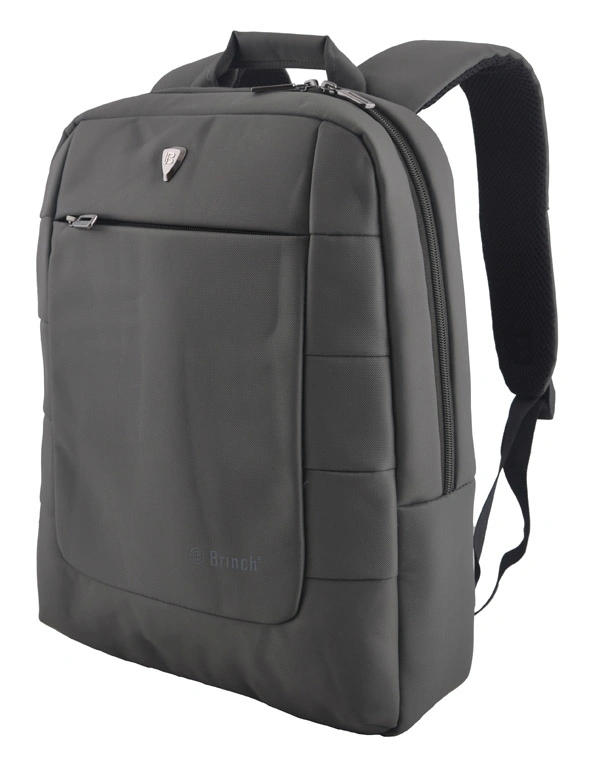 Fashion Backpack Computer Laptop Bag (SB6608)