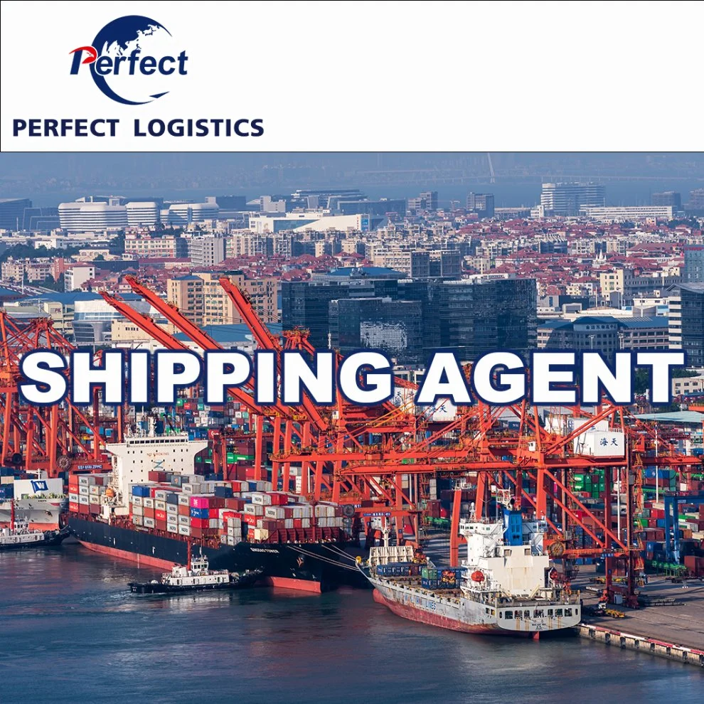 Reliable Wholesale/Supplier Import From China to Europe UK Canada Air Cargo Ship Price Alibaba Express Deliverydrop Shipping Agent Logistics Service