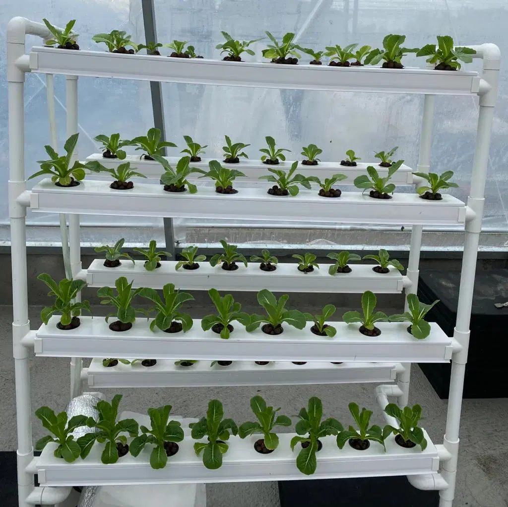 Wholesale/Supplier Home Garden Hydroponic Planting with Mini Nft Channel System