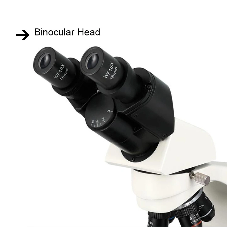 Xsz-N117am Monocular Head Biological Microscope for Laboratory Experiment