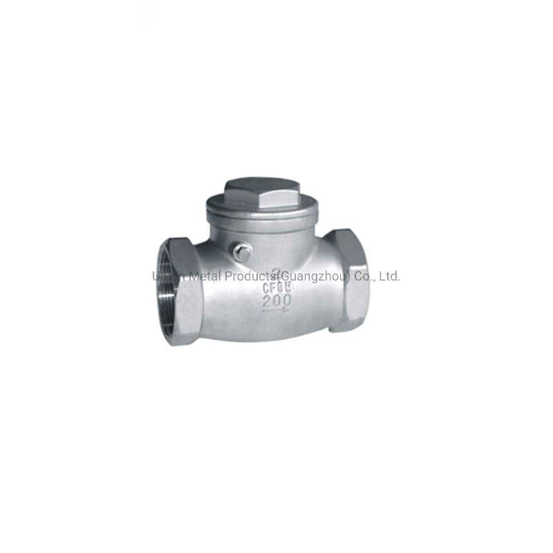 Stainess Steel Pipe Fitting SS304 SS316 Lift Check Valve