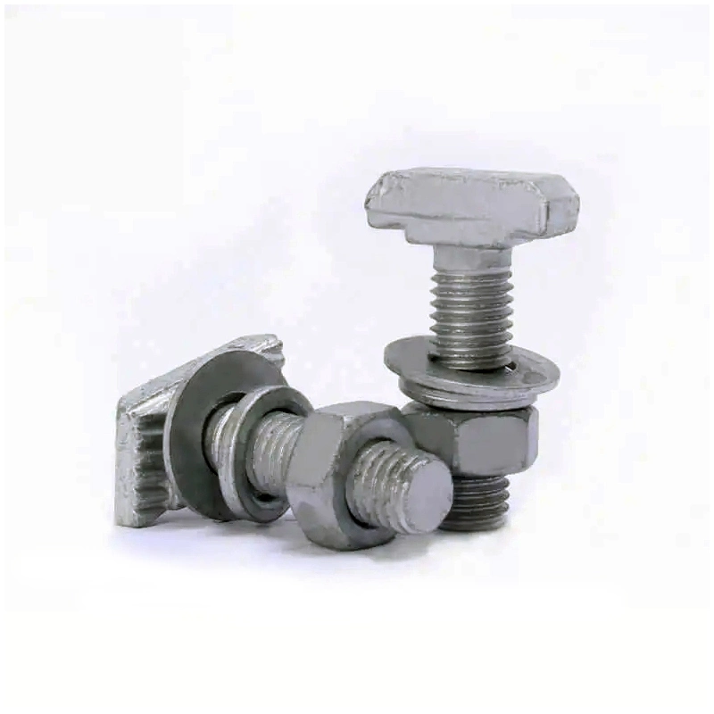 Grade 8.8 Hot DIP Galvanized T-Bolt T-Shaped Head Halfen Serrated Bolt