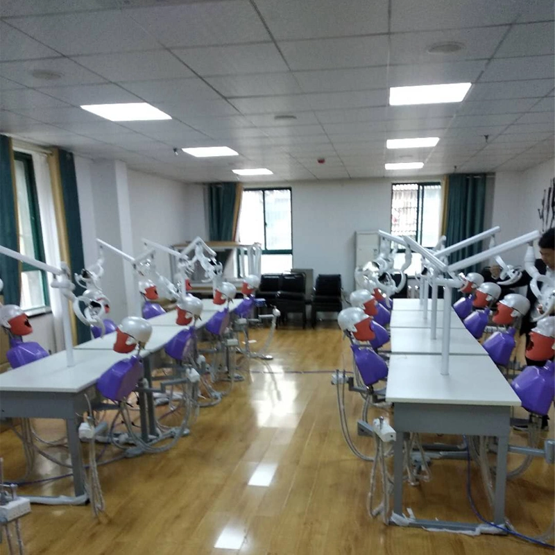 Tratamiento La formación del equipo de laboratorio dental simulador para 2 estudiantes