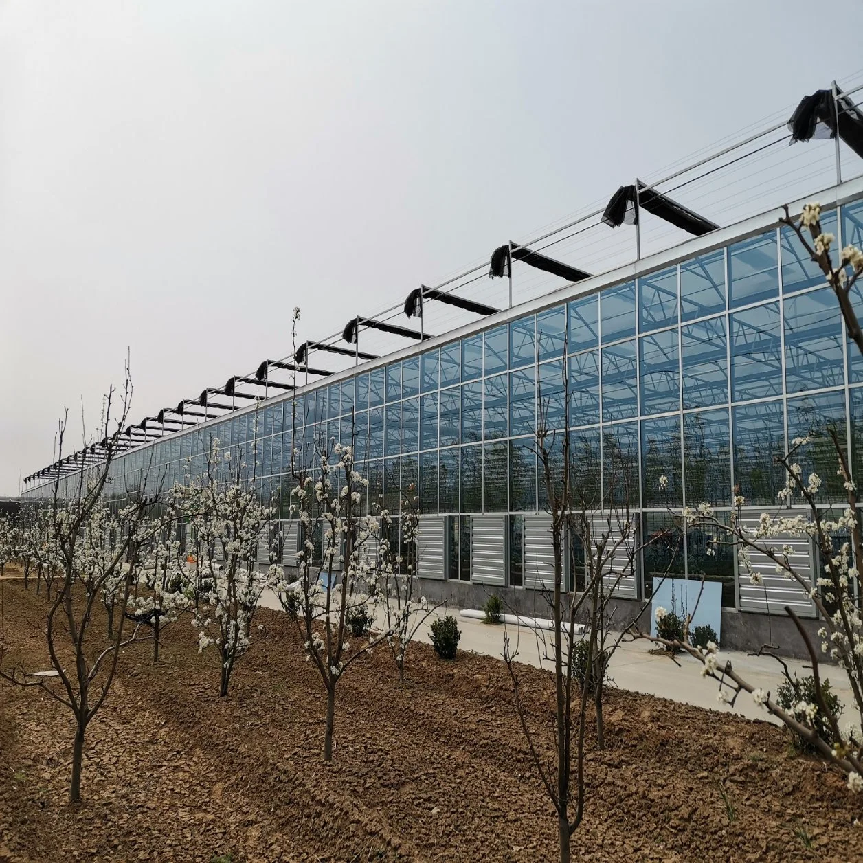 Ebb Glass Nursery Greenhouse with Shading Net System