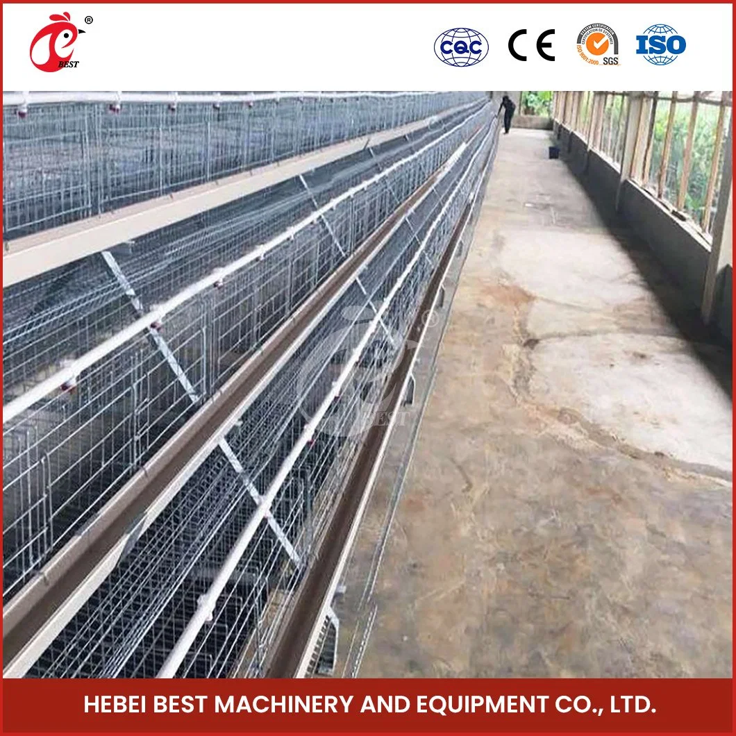 Bestchickencage China PVC beschichtet Günstige Chicken Layer Coop Factory ISO SONCAP Zertifikate Geflügellagenkäfig zum Verkauf Konfiguration Hühnerkoop Starterkit