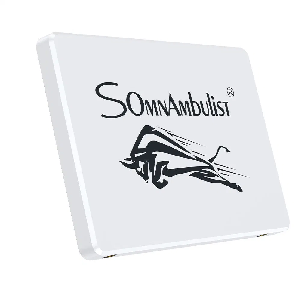Somnambulist Gjs08 2.5" SATA 3 Internal Solid State Drive 120GB 60g 240GB 480GB 2tb 960GB SSD