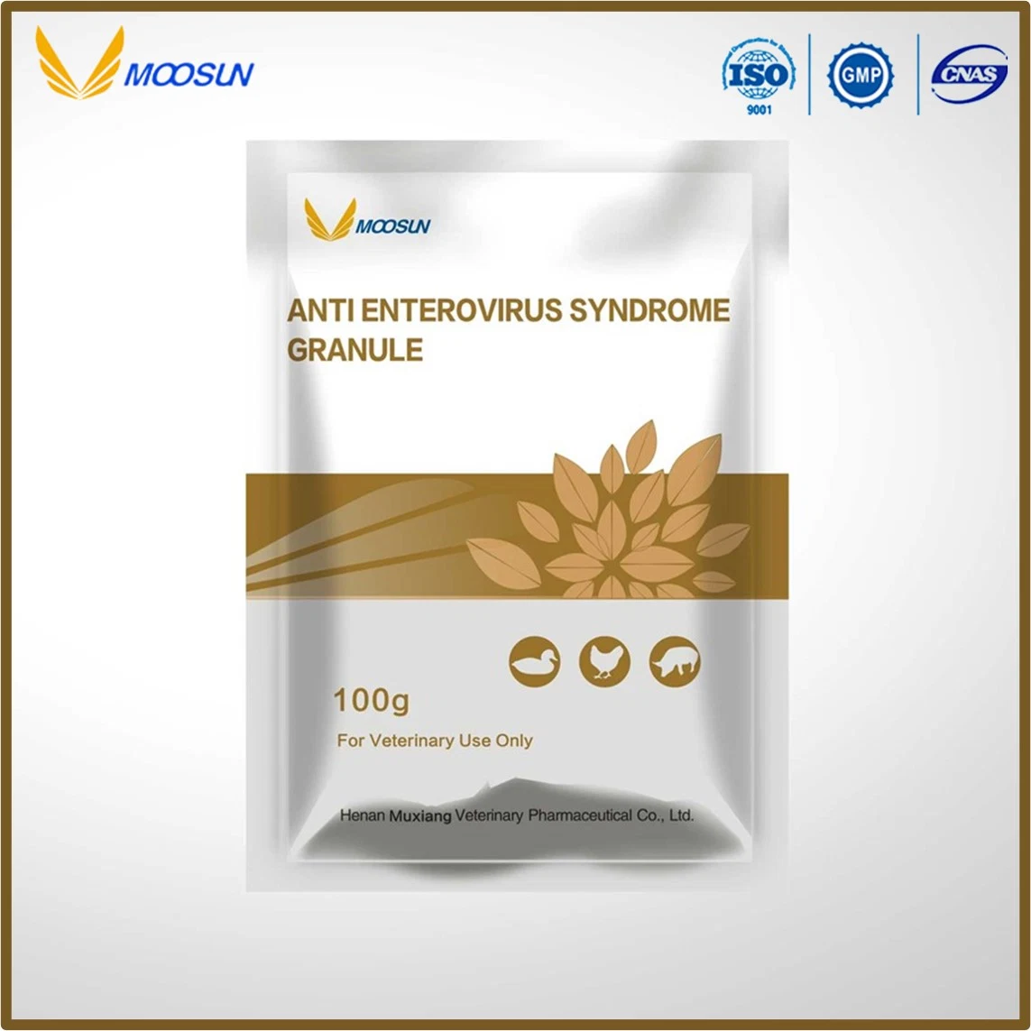 Herbal Extracts Prevention Flu Powder