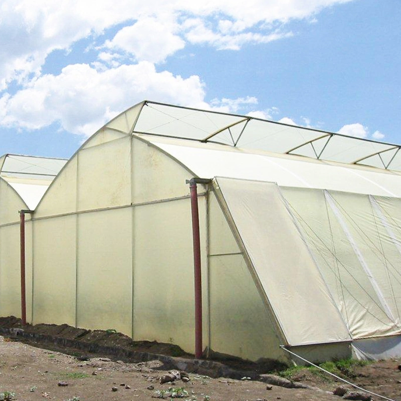 Good Plastic Greenhouse Film for Strawberries