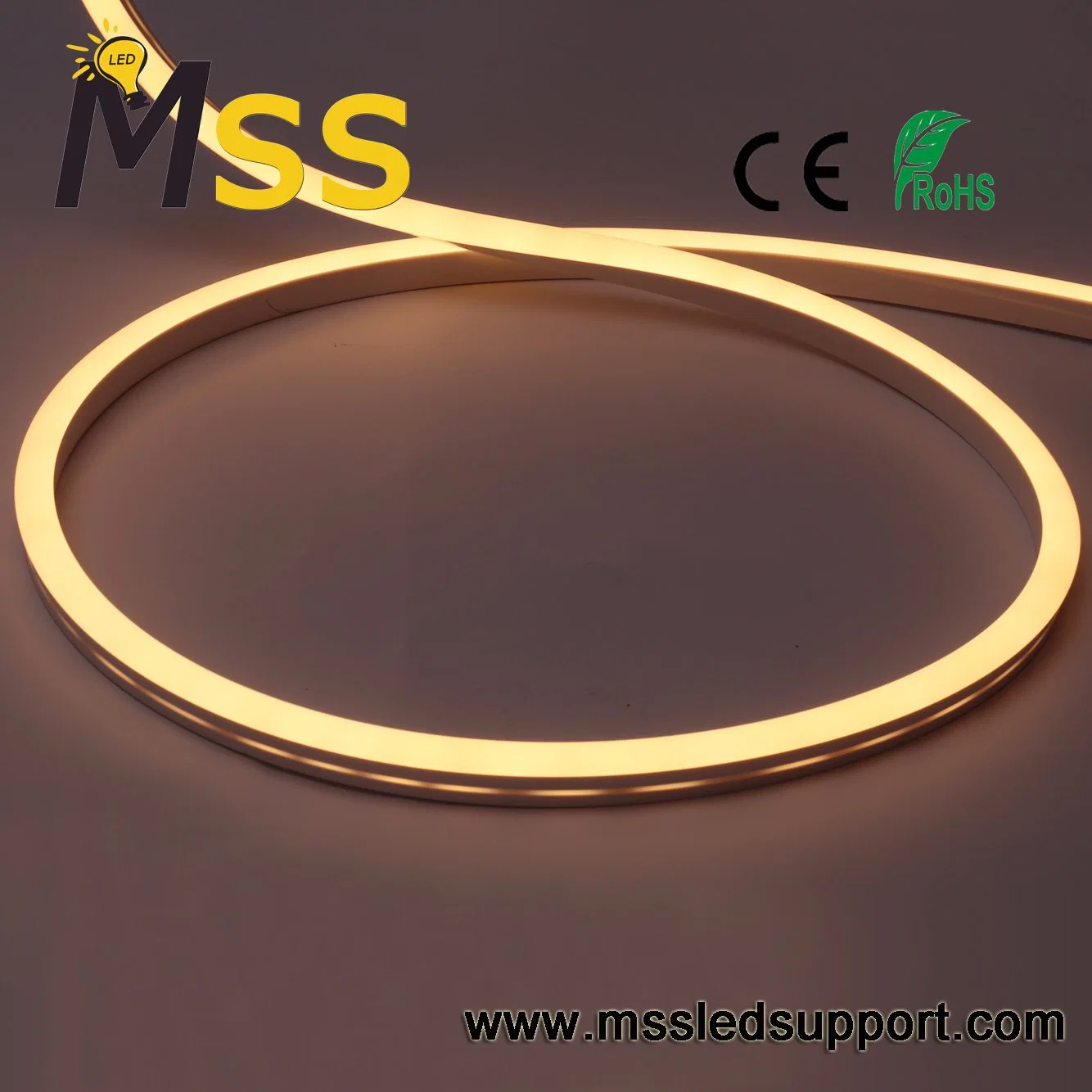 24V DC IP67 Top Quality LED Neon Flex Rope Lights with Ce RoHS Approved