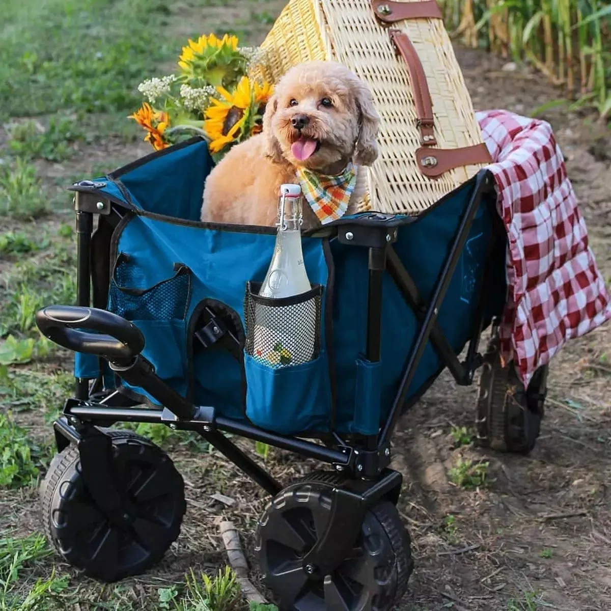 Garden Collapsible Folding Outdoor Utility Beach Trolley Wagon with Cover Bag