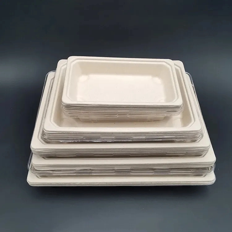 Disposable Sugarcane Tableware Environmental Protection Bagasse Rectangle Tray