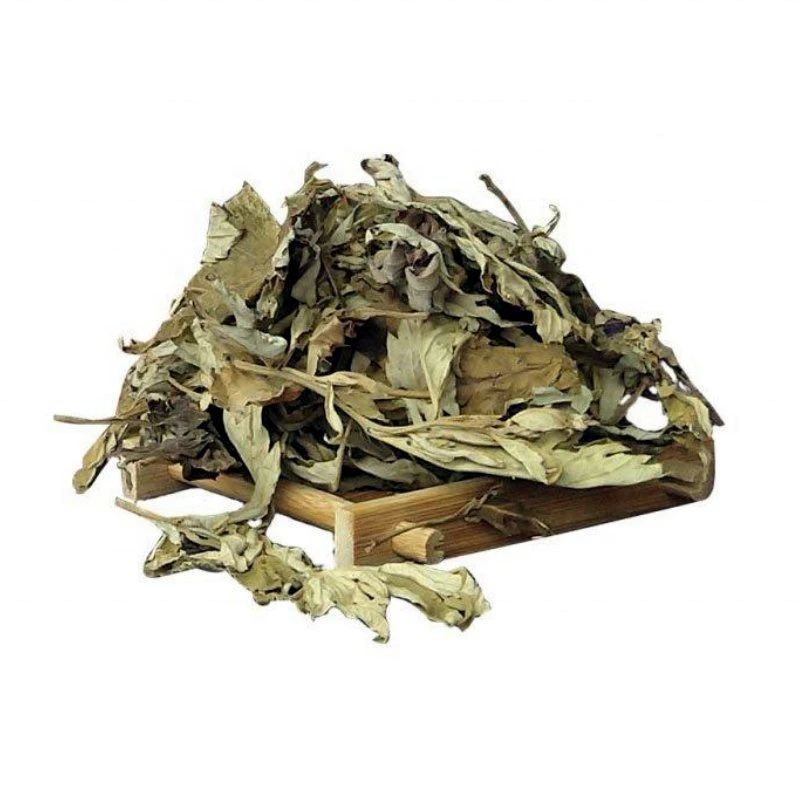 Traditional Chinese Herbal Medicine Ai Ye Wild Pure Dried Leaves Folium Artemisiae Argyi