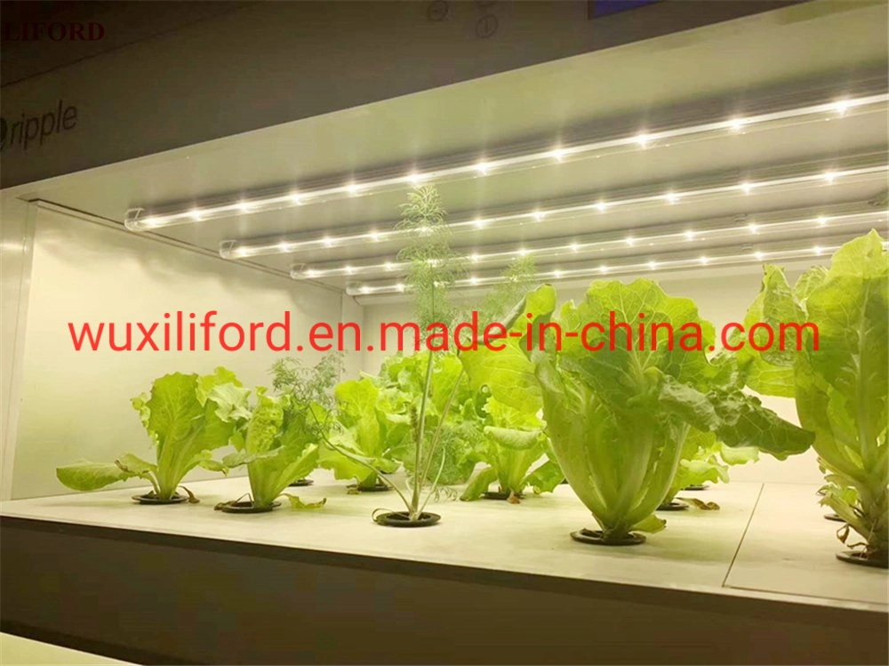 Indoor Automatic Hydroponics Growing System Vertical Farming