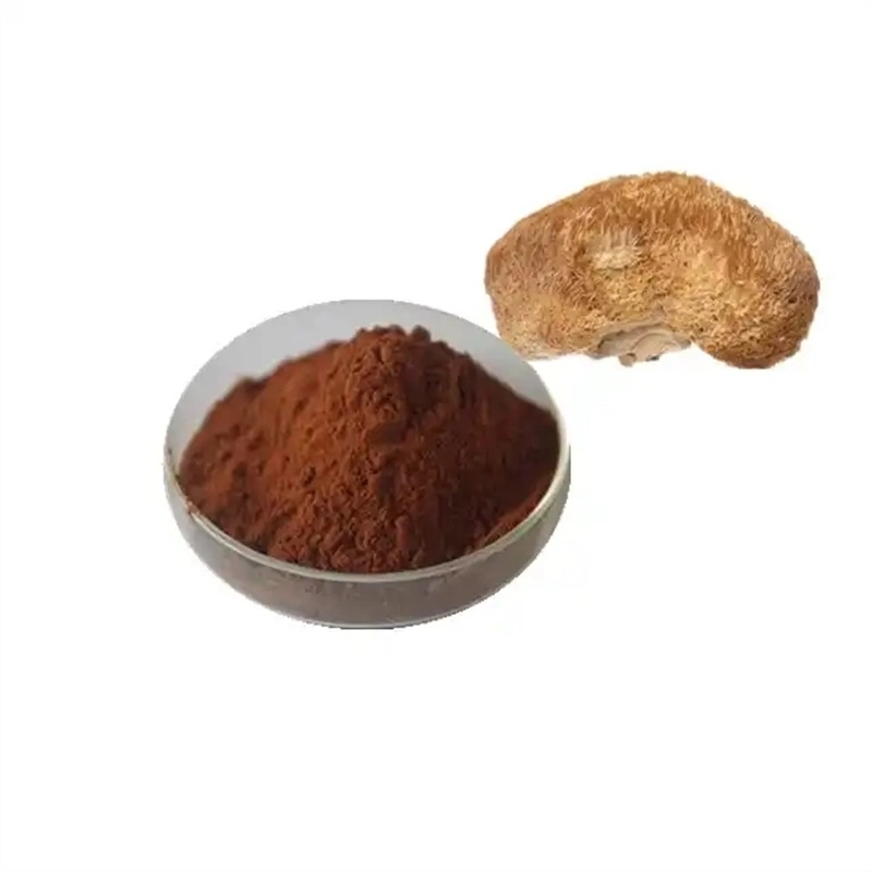 Natural Organic Mane Mushroom Extract Powder Feed Material Food Additives