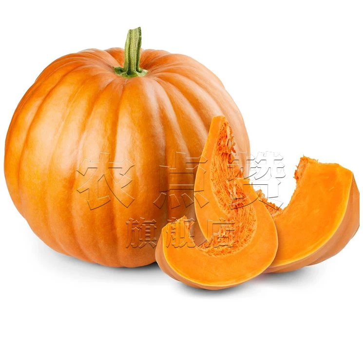 Ornamental Giant Pumpkin Seeds High Yield Large Pumpkin Seeds for Planting