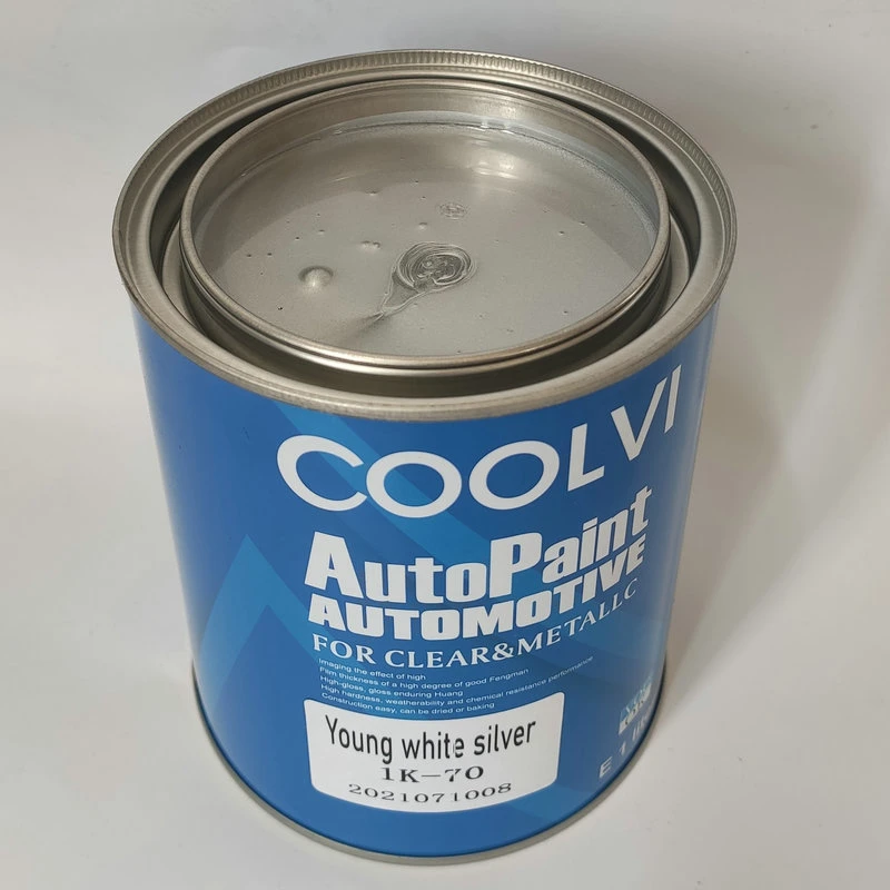 Chemical Paint Varnish Paint Primer for Automobile