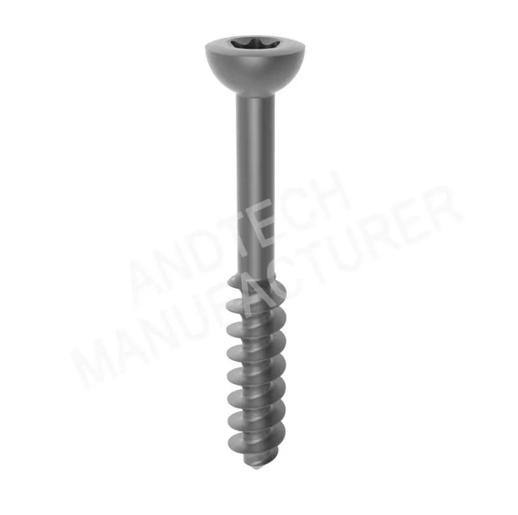 Titanium Non-Locking Screw for Trauma Locking Plate Fixation