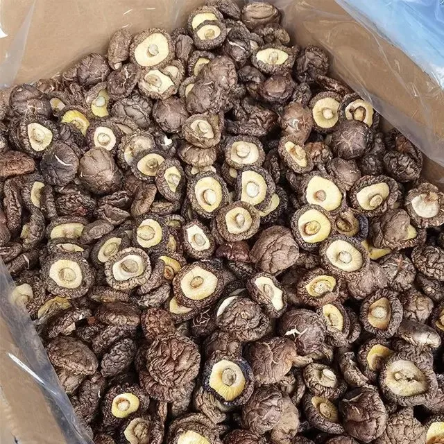 Whole OEM High quality/High cost performance  Dried Shiitake Mushrooms