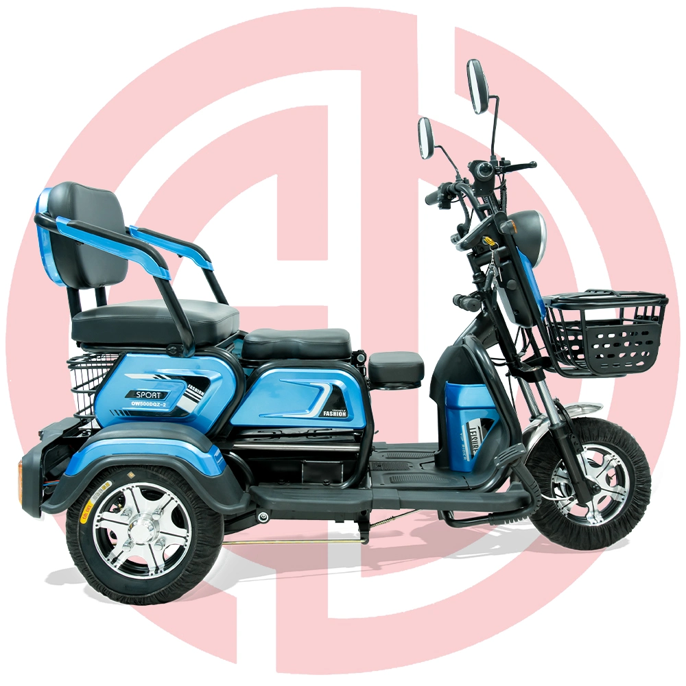 Electric Tricycle Electric Vehicle 48V 20ah Battery Lead-Acid