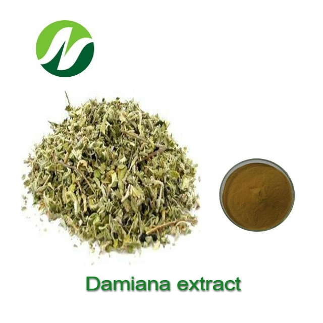 Good Quality Turnera Diffusa Extract 4: 1~20: 1 Damiana Extract