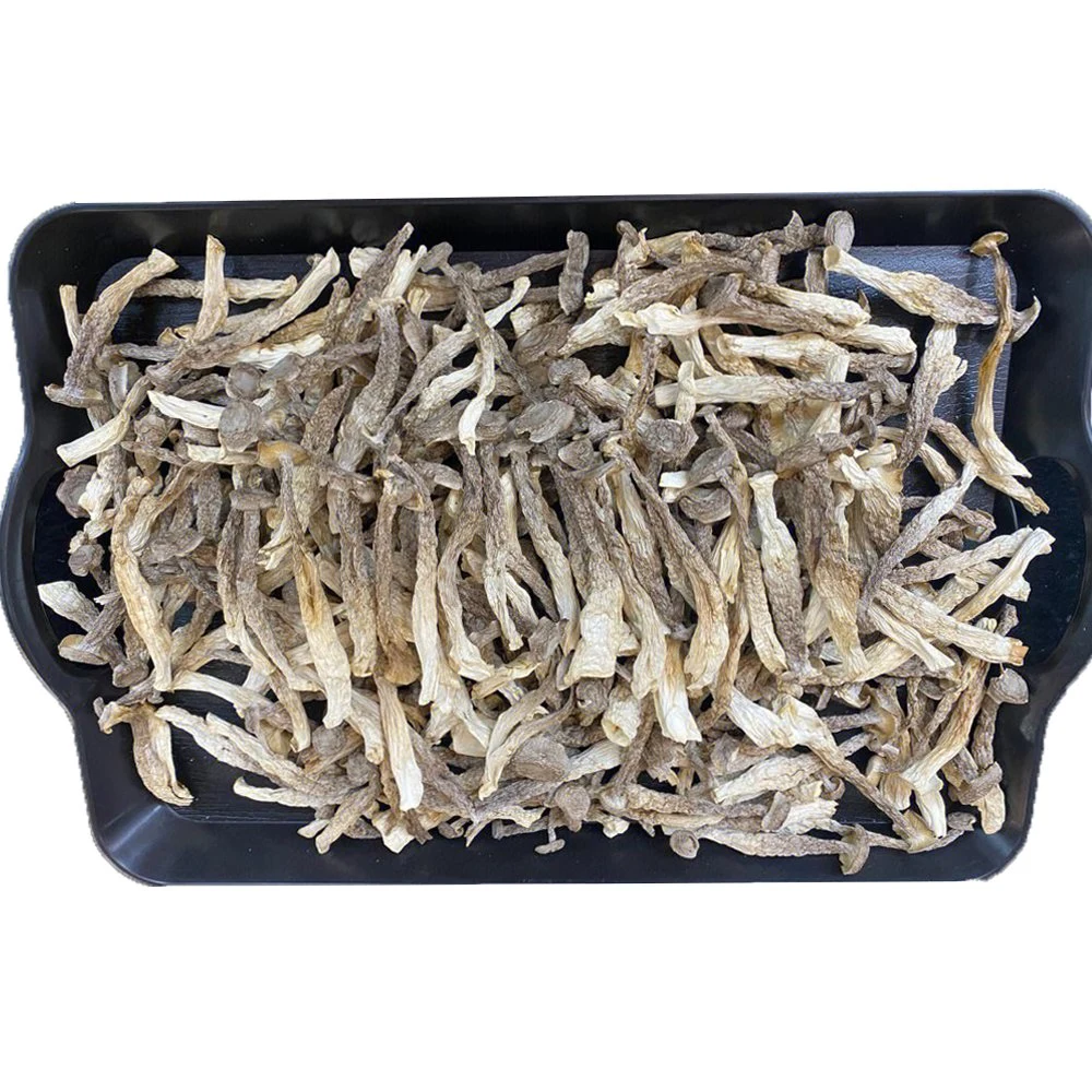 Nutrition Keep Dehydrated Whole Dried Pilose Antler Mushroom