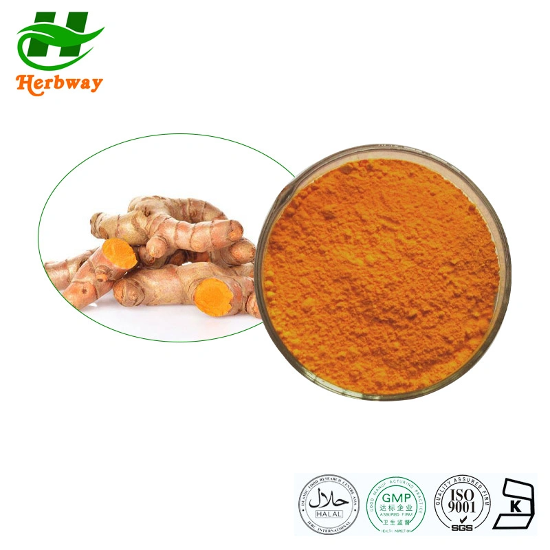 Wholesale/Supplier Price Improving Blood Circulation Curcuma Longa Linn. Turmeric Root Extract Powder