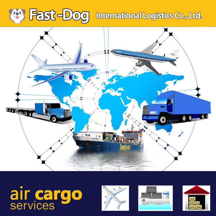 International Freight Forwender Company Transporte aéreo Puerta a Puerta a. España Reino Unido Alemania países Bajos Italia Francia