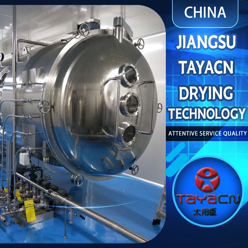 Pharmaceutical Product Vacuum Belt with CIP Cleaning System, GMP Standards