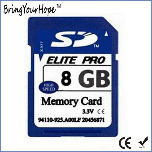 A velocidade de alta classe 10 Cartão de memória SD de 8 GB (8 GB SD)