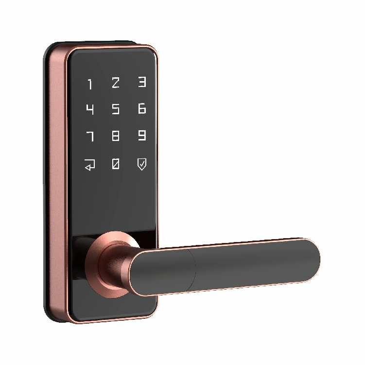 Tuya Keypad Keyless Smart Fingerprint Digital Life Door Knob Building Lock