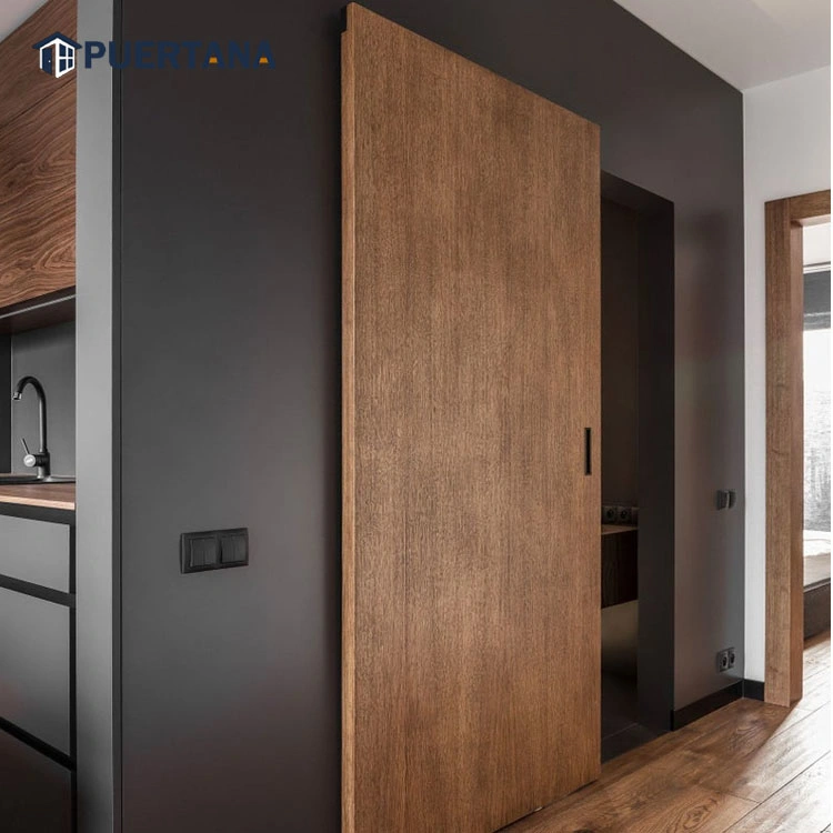 Ghost Concealed Internal Interior Invisible Hidden Wooden Sliding Door