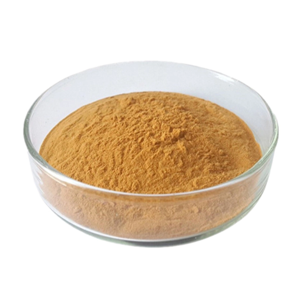 Xi`an SOST Halal Approved EU Organic Maitake Mushroom Extract Powder