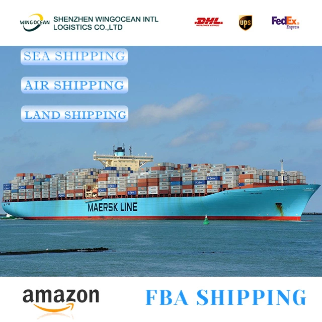 Gold Service Sea Freight Shipping Reliable Shipping Agent From Shenzhen to Worldwide