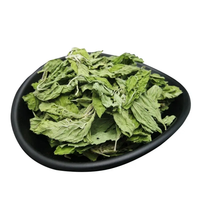 Factory Supply Peppermint Leaf Herbal Tea Good Quality Mint Leaf Herba Menthae