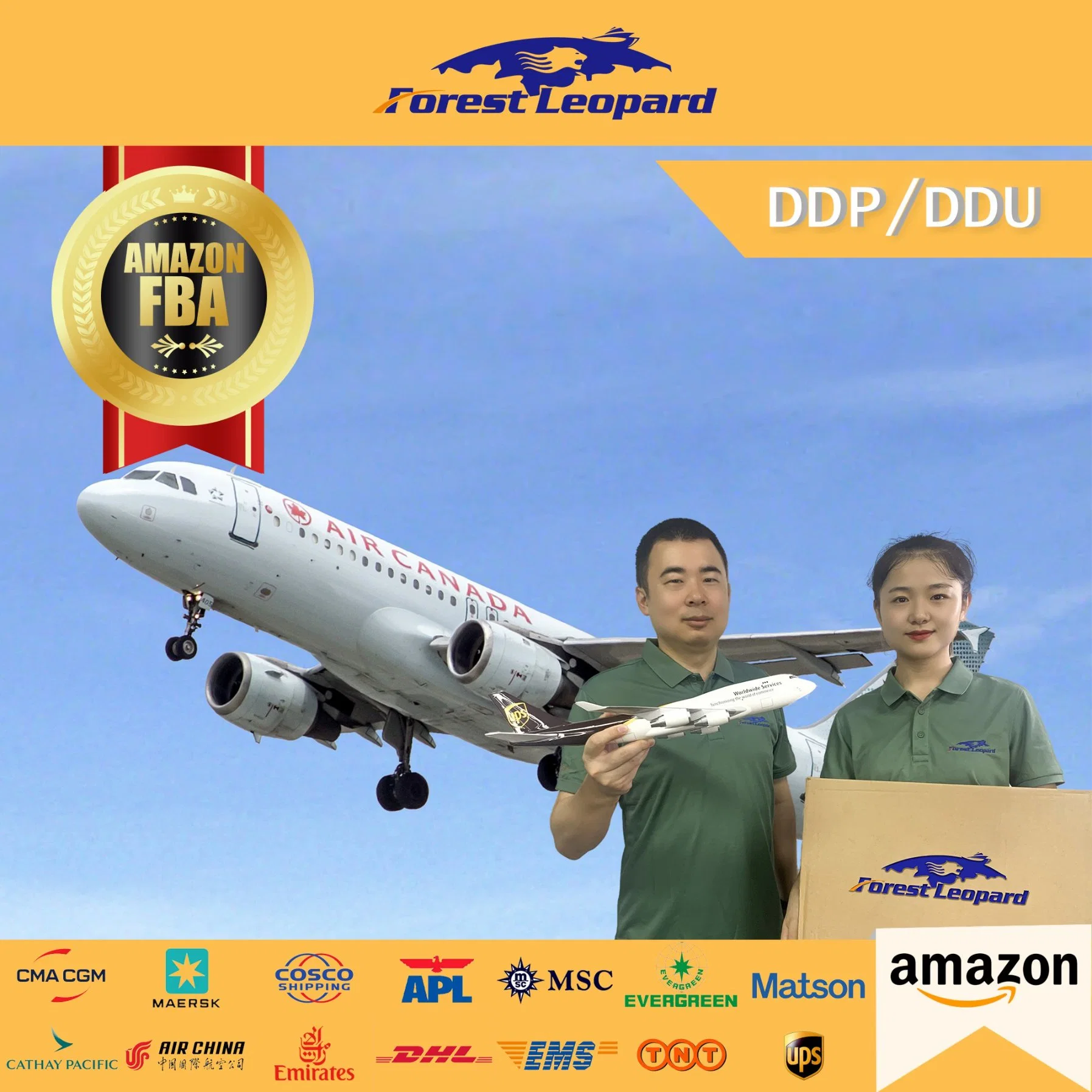 Best Amazon Fba DDP Door to Door Service Air Freight Forwarder From China to USA/UK/Germany/Europe/Canada/Japan Air Shipping