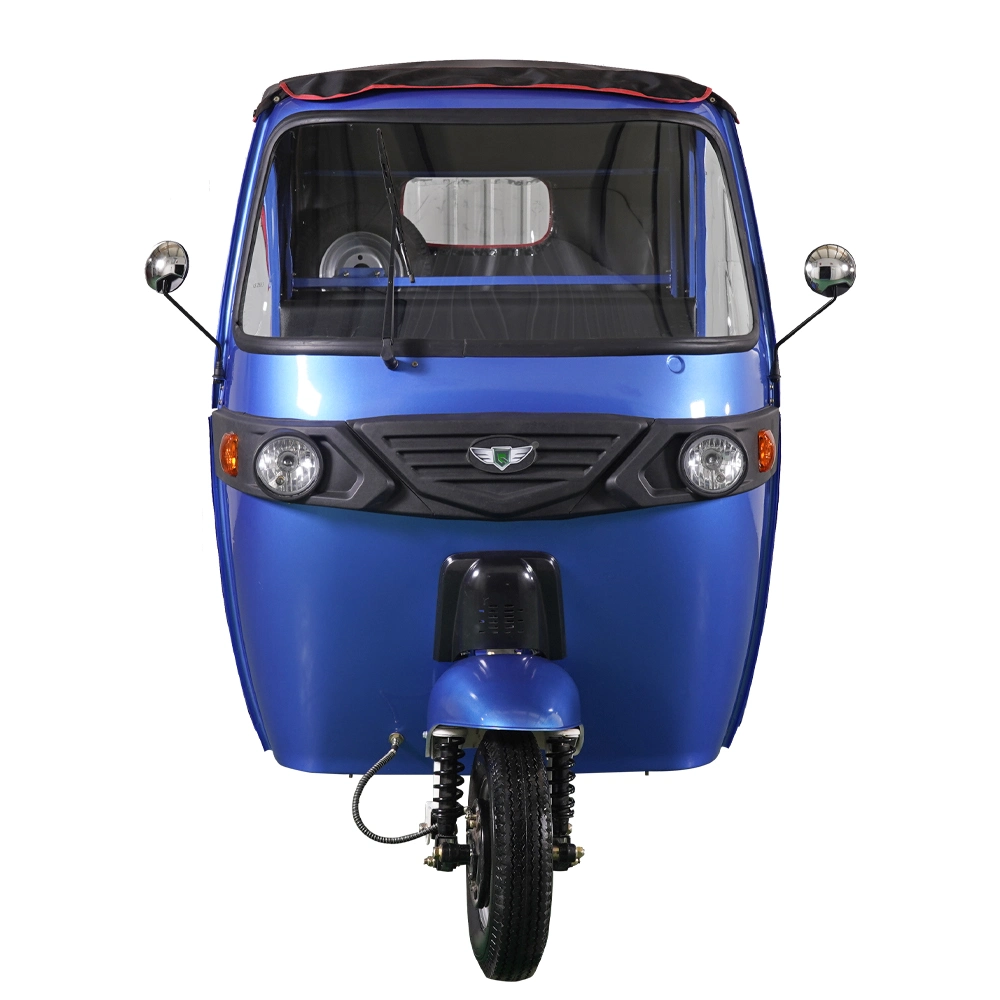 Electric 3 Wheel Scooter with Roof Battery Powered Electric Trike Tricycle 5000W for 4/6 Passengers Use