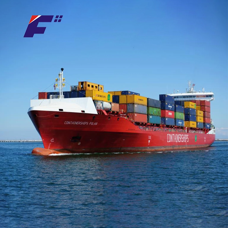 Serviço de Transporte Marítimo de porta a porta rápida de Despachante logístico para Somália