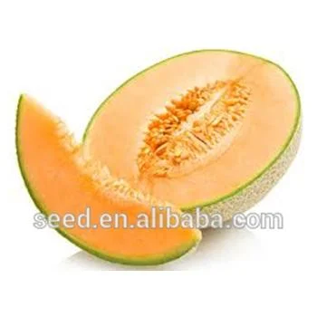 Cantaloupe No. 1 Chinese Round Shape Melon Seeds for Sale