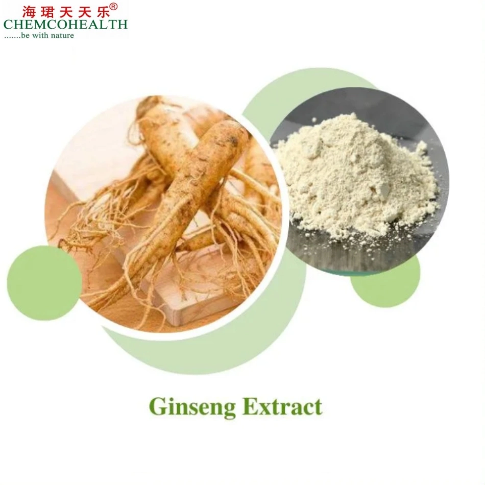 Extrait de racine de ginseng naturel pur 100% biologique chinois extrait de ginseng