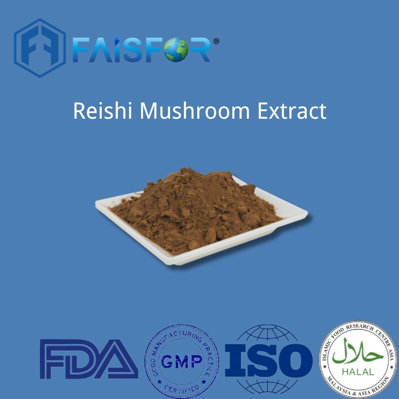 Additif alimentaire Reishi extrait de champignon poudre pour les soins de santé