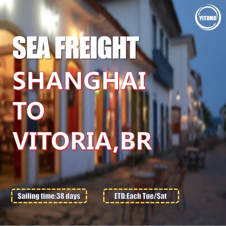 Shenzhen Cargo Ship Price Shipping to Vitoria Brazil