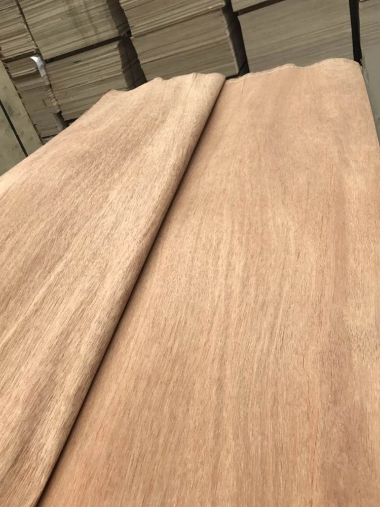 High quality/High cost performance  Nature Wood Veneer for Face and Back