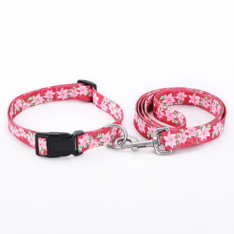 Hot Sale Pet Training Collar Nylon Dog Belt