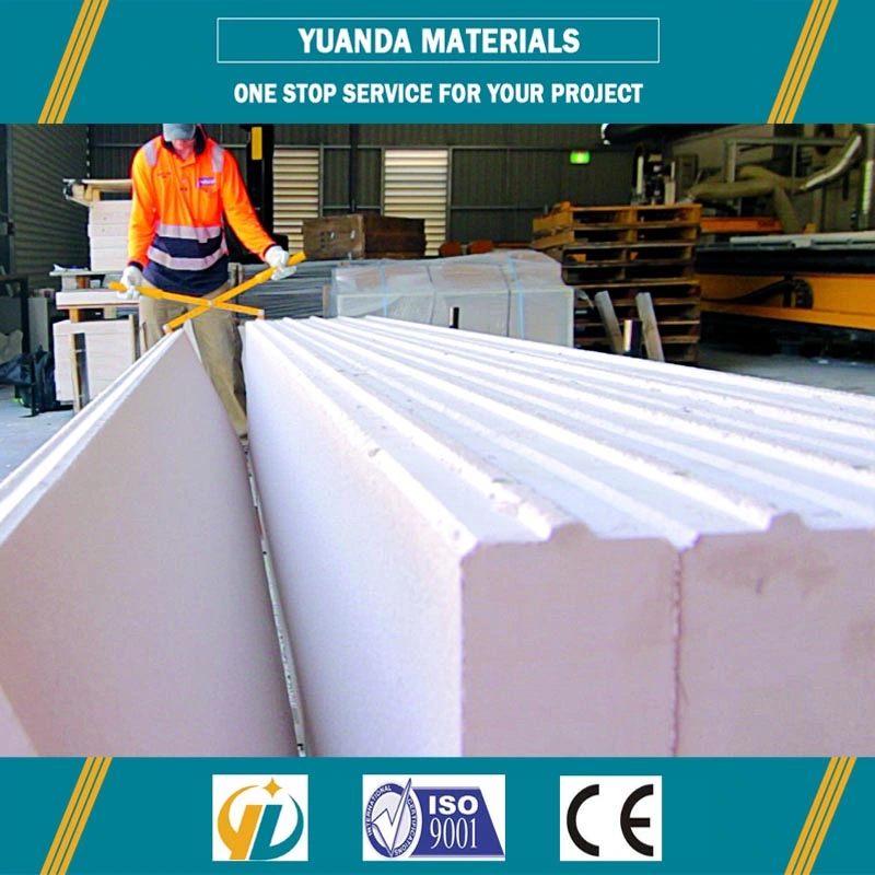 Low Cost Light Weight AAC External/Partition Wall Panel for Philippine