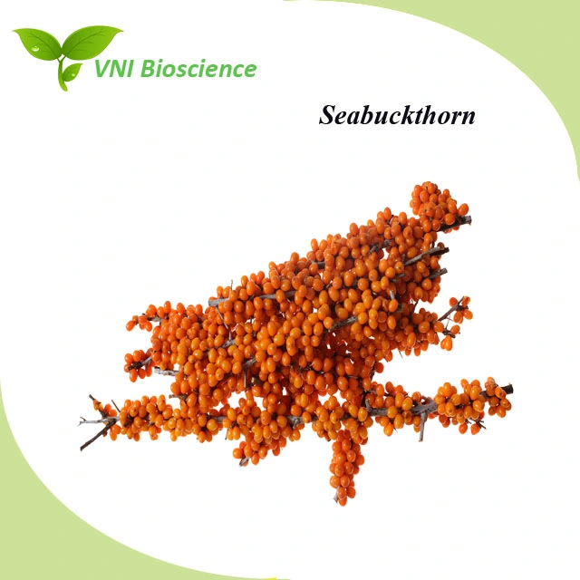 Kosher Certified Flavonoids Powder Sea Buckthorn Extract