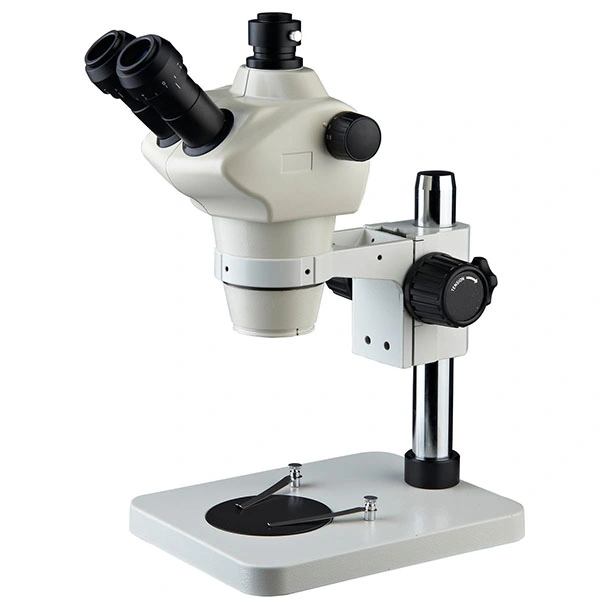 St8050t-B8ls Stereo Zoom Microscope