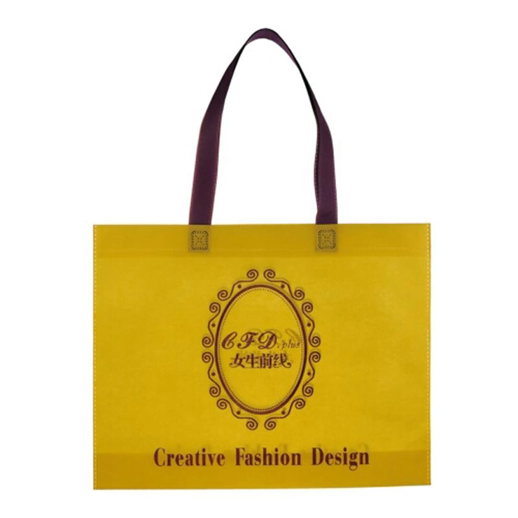 PP Laminated Non-Woven Shopping Bags for Promotional (FLN-9039)